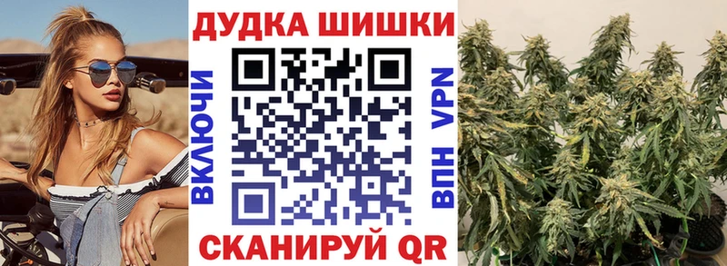 Канабис гибрид Берёзовский